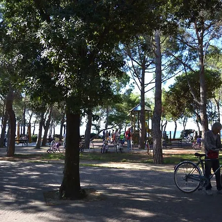 Miramare 157 * Trieste